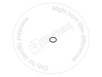 VOE13960168 ST КОЛЬЦО КРУГЛОГО СЕЧЕНИЯ
