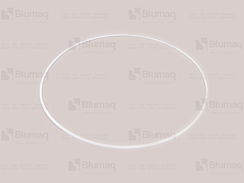 6832483 ST SEALING RING