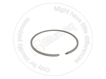 1T0016 ST СЕГМЕНТ