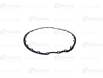 5725210 OR GASKET