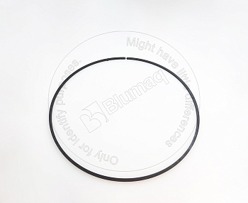 4S6713 ST КОЛЬЦО УПЛОТНИТЕЛЬНОЕ