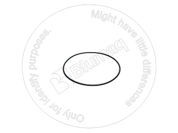 VOE925263 ST КОЛЬЦО КРУГЛОГО СЕЧЕНИЯ