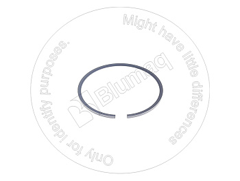 1979341 OE КОЛЬЦО ПОРШНЕВОЕ