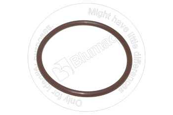 6V5656 OR КОЛЬЦО КРУГЛОГО СЕЧЕНИЯ