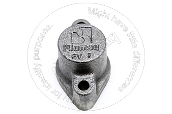 2456770 BQ КОЖУХ