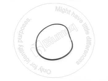 6001818490 OR КОЛЬЦО КРУГЛОГО СЕЧЕНИЯ