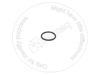 0777320 BQ КОЛЬЦО КРУГЛОГО СЕЧЕНИЯ