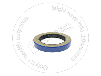 2H3918 ST САЛЬНИК