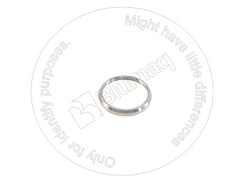 1241192H1 OE КЛАПАН