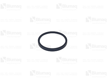 2501041 ST САЛЬНИК