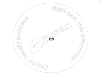 0855549 ST КОЛЬЦО КРУГЛОГО СЕЧЕНИЯ