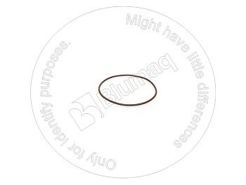 3766409 BQ КОЛЬЦО КРУГЛОГО СЕЧЕНИЯ