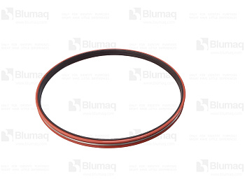 3144136 ST SEAL GP-DU