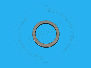 1687942 OE ШАЙБА