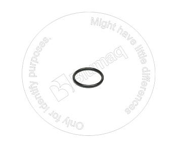 773293 ST Кольцо уплотнительное