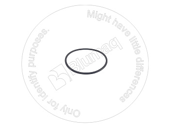 9D7972 ST КОЛЬЦО КРУГЛОГО СЕЧЕНИЯ