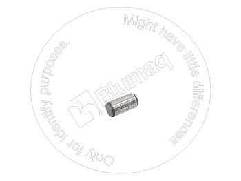 1P0233 OR ШПОНКА