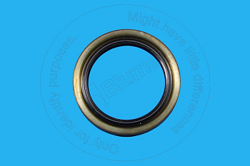 5Y0143 ST САЛЬНИК