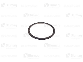 1694737 BQ PLATE-THRU