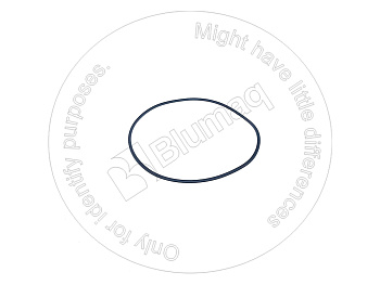 306141 ST RING