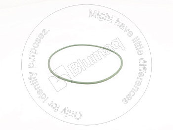 VOE20412762 BQ КОЛЬЦО КРУГЛОГО СЕЧЕНИЯ