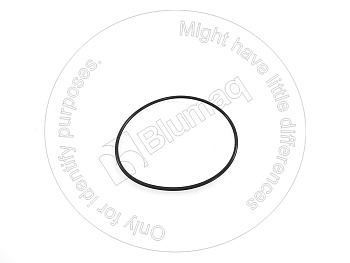 SX951122130 ST КОЛЬЦО КРУГЛОГО СЕЧЕНИЯ