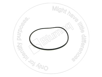 9D1417 OR САЛЬНИК