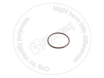 4427435 ST КОЛЬЦО КРУГЛОГО СЕЧЕНИЯ