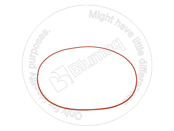 1981349110 BQ КОЛЬЦО КРУГЛОГО СЕЧЕНИЯ