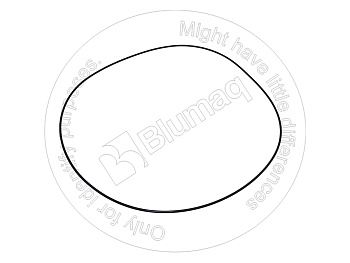 4241311110 ST КОЛЬЦО КРУГЛОГО СЕЧЕНИЯ