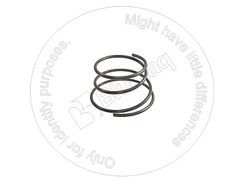 4D6741 BQ ПРУЖИНА