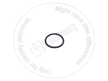 0776763 ST КОЛЬЦО КРУГЛОГО СЕЧЕНИЯ