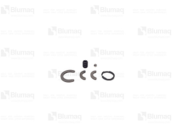 4610021 OR KIT PISTON