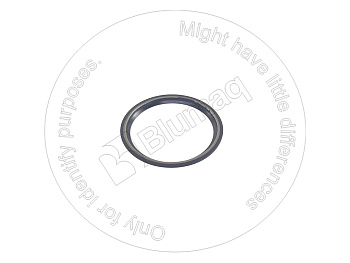 0713700060 ST ПЫЛЕЗАЩИТНОЕ УПЛОТНЕНИЕ