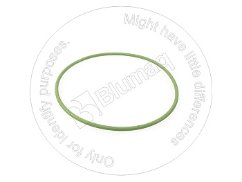 1178765 ST КОЛЬЦО КРУГЛОГО СЕЧЕНИЯ
