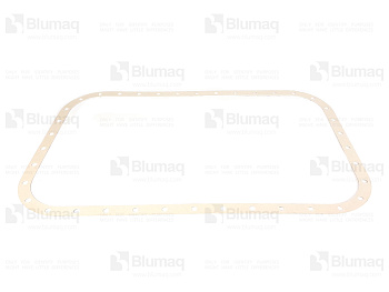 5J3316 OR ПРОКЛАДКА