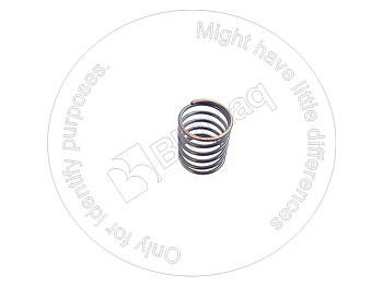 R902006893 OE ПРУЖИНА