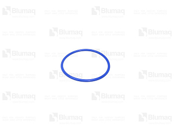 VOE17424745 BQ O-RING