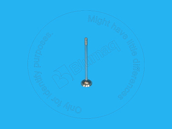 2481467 BQ ВЫПУСКНОЙ КЛАПАН