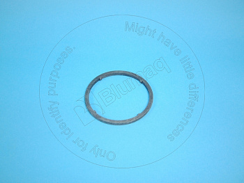 VOE1556389 ST САЛЬНИК