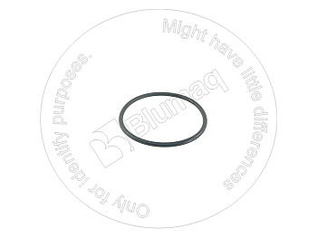 0967041 ST КОЛЬЦО КРУГЛОГО СЕЧЕНИЯ