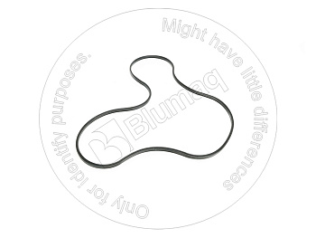 1083956 ST КОЛЬЦО УПЛОТНИТЕЛЬНОЕ