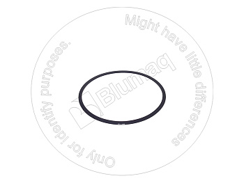 5132465 BQ САЛЬНИК