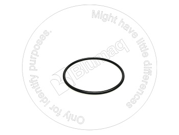 1121580 ST КОЛЬЦО КРУГЛОГО СЕЧЕНИЯ