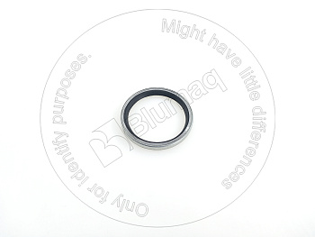 2037044230 ST САЛЬНИК