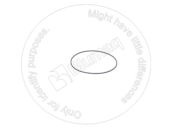 DK4870614300 ST КОЛЬЦО