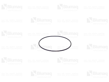 0951735 ST Кольцо уплотнительное