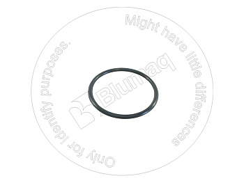 0951555 ST КОЛЬЦО КРУГЛОГО СЕЧЕНИЯ