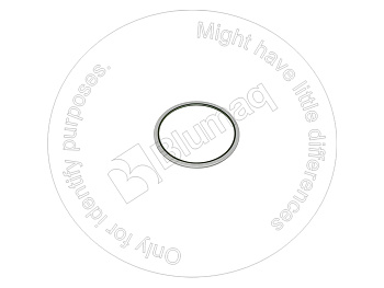 PZF855661398 ST ПЫЛЕЗАЩИТНОЕ УПЛОТНЕНИЕ