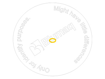 0778945 BQ КОЛЬЦО КРУГЛОГО СЕЧЕНИЯ